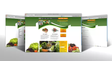 Frische Online-Shops für Gemüse aus der Region